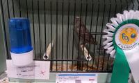 IMG-20230122-WA0002.jpg