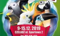 plakatmistrzostwa.jpg